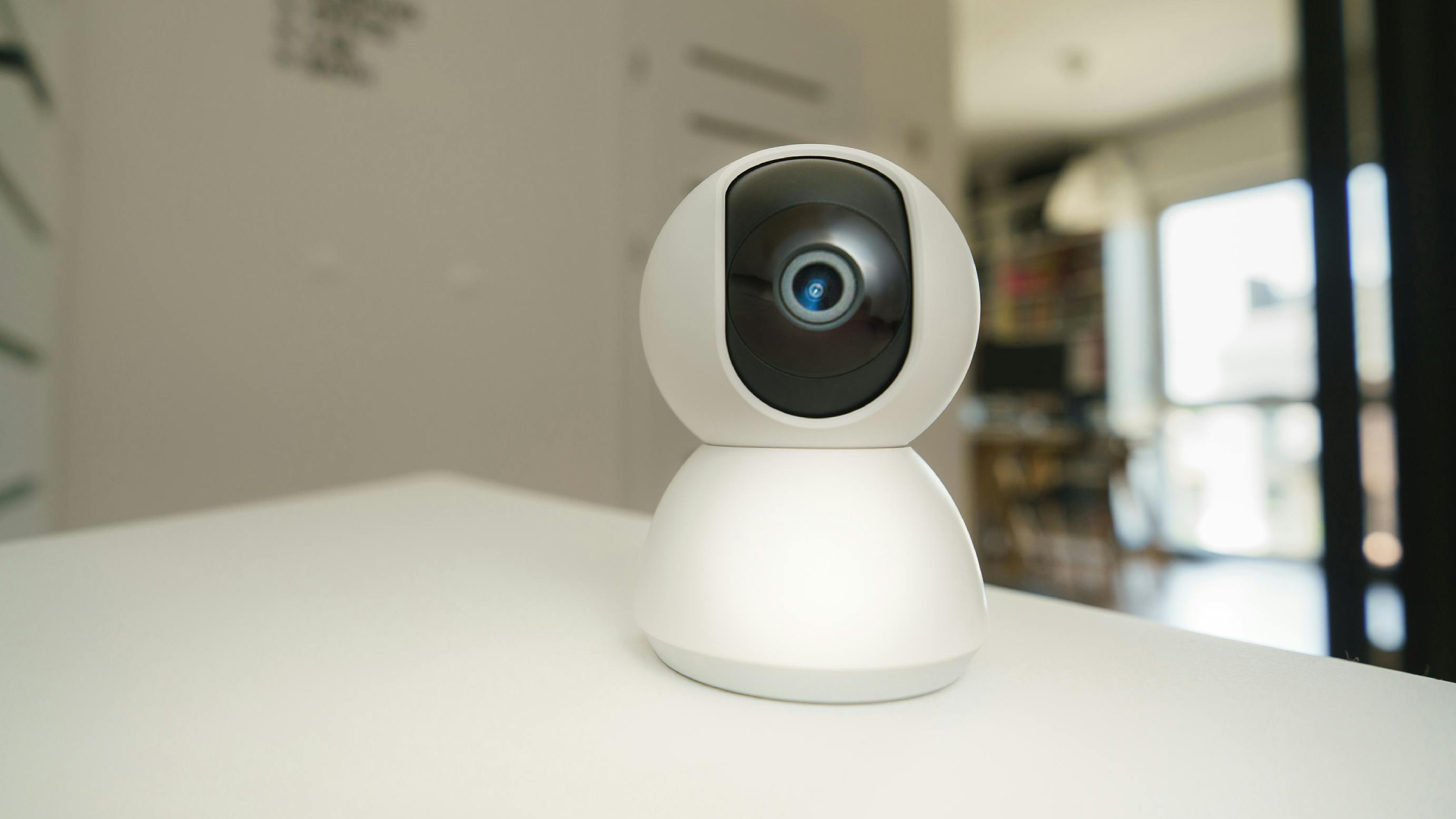 Dental Care Services